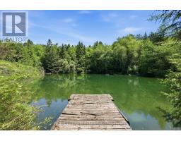 53 Church Street, Melancthon, ON L0N1J0 Photo 6