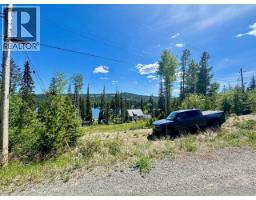 3868 Rainbow Drive, Logan Lake, BC V1S1Y8 Photo 13