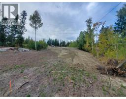 3868 Rainbow Drive, Logan Lake, BC V1S1Y8 Photo 15