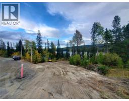 3868 Rainbow Drive, Logan Lake, BC V1S1Y8 Photo 17