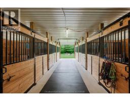 22678 Johnston Line, Rodney, ON N0L2C0 Photo 34