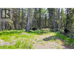 31, 5209 Township Road 325a, Rural Mountain View County, AB T0M1X0 Photo 13