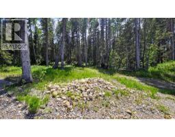 31, 5209 Township Road 325a, Rural Mountain View County, AB T0M1X0 Photo 9