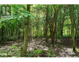 255 Ridgewood Crescent, London South, ON N6J3G7 Photo 45