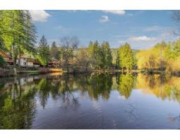 43610 Cotton Tail Crossing, Cultus Lake South, Lindell Beach, BC V2R0E1 Photo 39