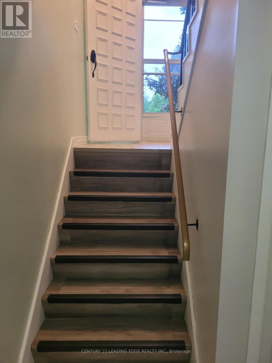 19 FOREST HILL ROAD - 23