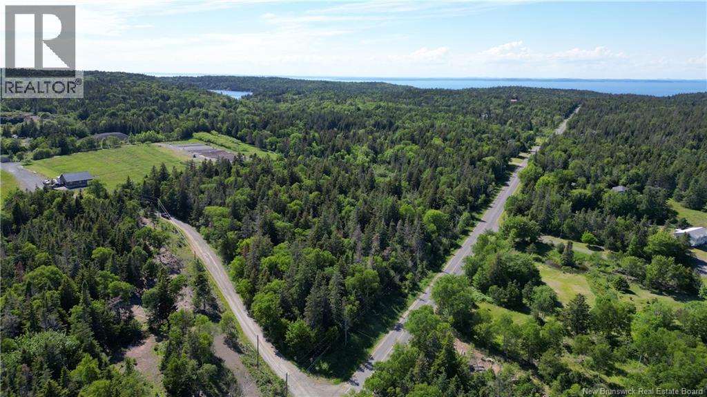 Whistle Road, Grand Manan — photo 2