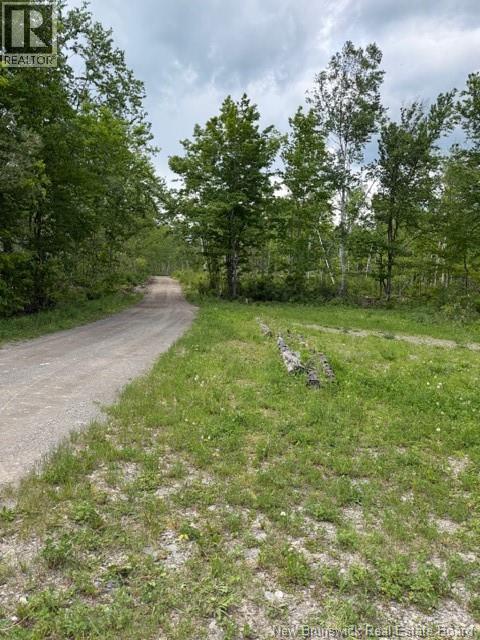 LOT 10 WOODS RD, MCCORMACK BROOK - 27