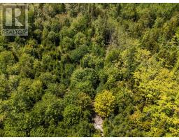 Lots, Belleville Road, Belleville South, NS B0W3M0 Photo 12