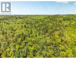 Lots, Belleville Road, Belleville South, NS B0W3M0 Photo 9