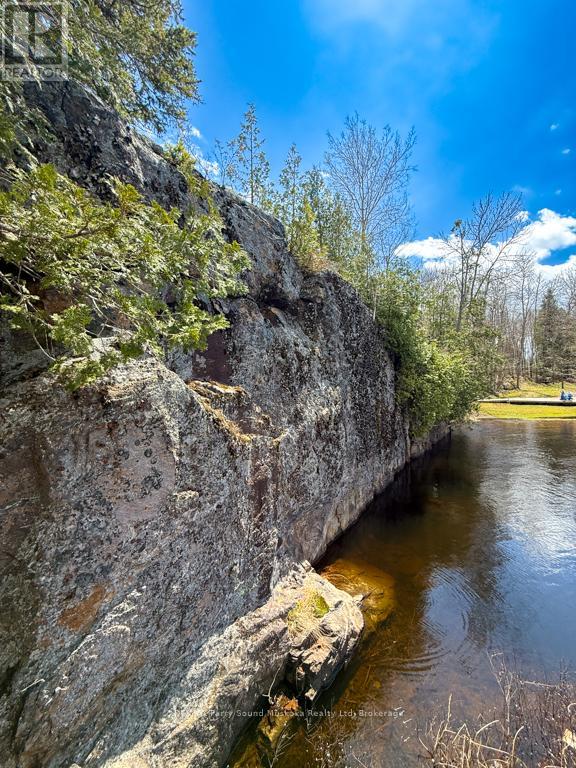 43 BEARS PAW W - 27