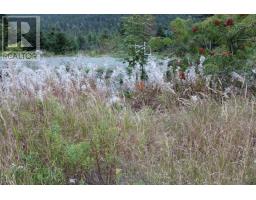 235-241 Beachy Cove Road thumbnail 12