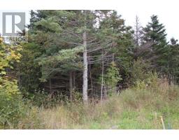 235-241 Beachy Cove Road thumbnail 3