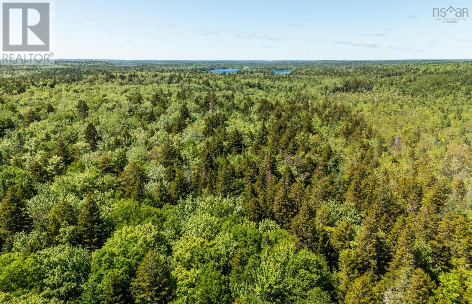 Property 4 of 11 of Lot, Belleville South