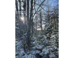 Lot 11 Lower River Road, Grantville, Grantville, NS B0E1J0 Photo 8