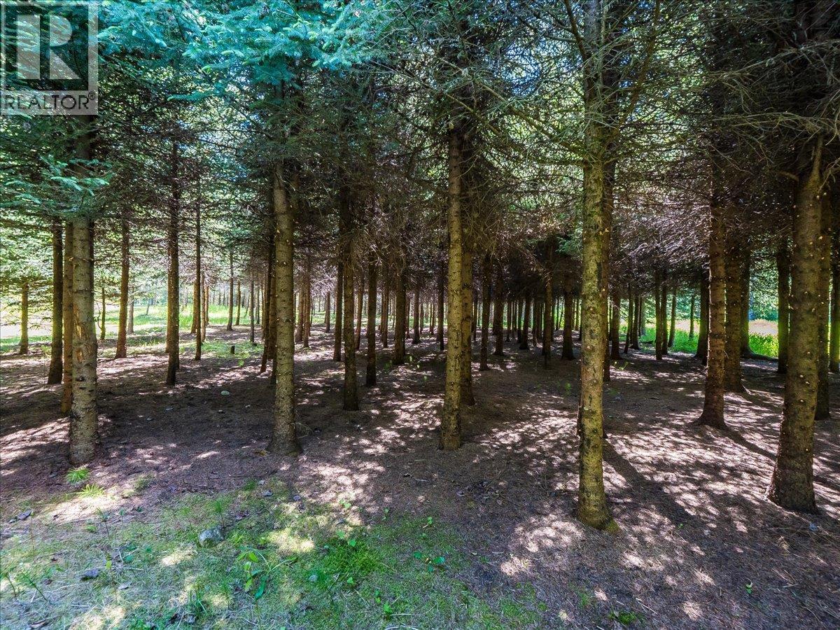 2209 Jenisa Road - 9