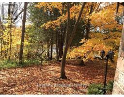 2315 County Rd 45 Road, Asphodel Norwood, ON K0L2V0 Photo 31