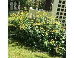 2315 County Rd 45 Road, Asphodel Norwood, ON K0L2V0 Photo 29