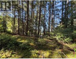 Lot 2 Wild Cherry Terr, Gabriola Island, BC V0R1X5 Photo 6