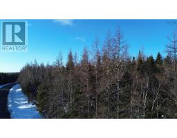 Lot 13 Lower River Road, Grantville, NS B0E1J0 Photo 19