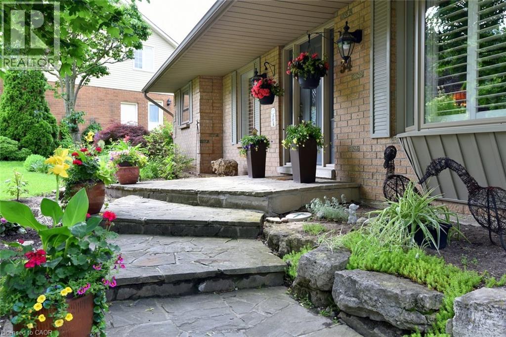 34 HOWARD Boulevard - 4