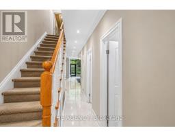 B&c - 116 Hazelton Avenue, Toronto, ON M5R2E5 Photo 22