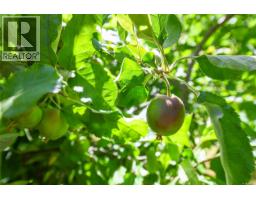 605 Pritchard Rd, Comox, BC V9M3J1 Photo 16