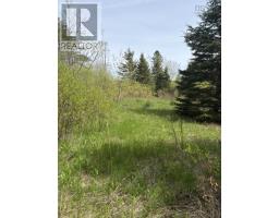 Lot 3 Highway 214, Belnan, NS B2S2R1 Photo 13