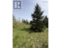 Lot 3 Highway 214, Belnan, NS B2S2R1 Photo 15