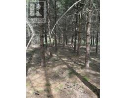 Lot 3 Highway 214, Belnan, NS B2S2R1 Photo 16