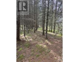 Lot 3 Highway 214, Belnan, NS B2S2R1 Photo 17