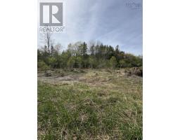 Lot 3 Highway 214, Belnan, NS B2S2R1 Photo 10