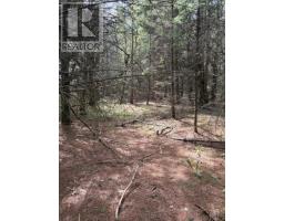 Lot 3 Highway 214, Belnan, NS B2S2R1 Photo 18