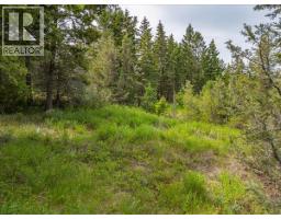 Bella Vista Boulevard Lot# 14, Fairmont Hot Springs, BC V0B1L2 Photo 12