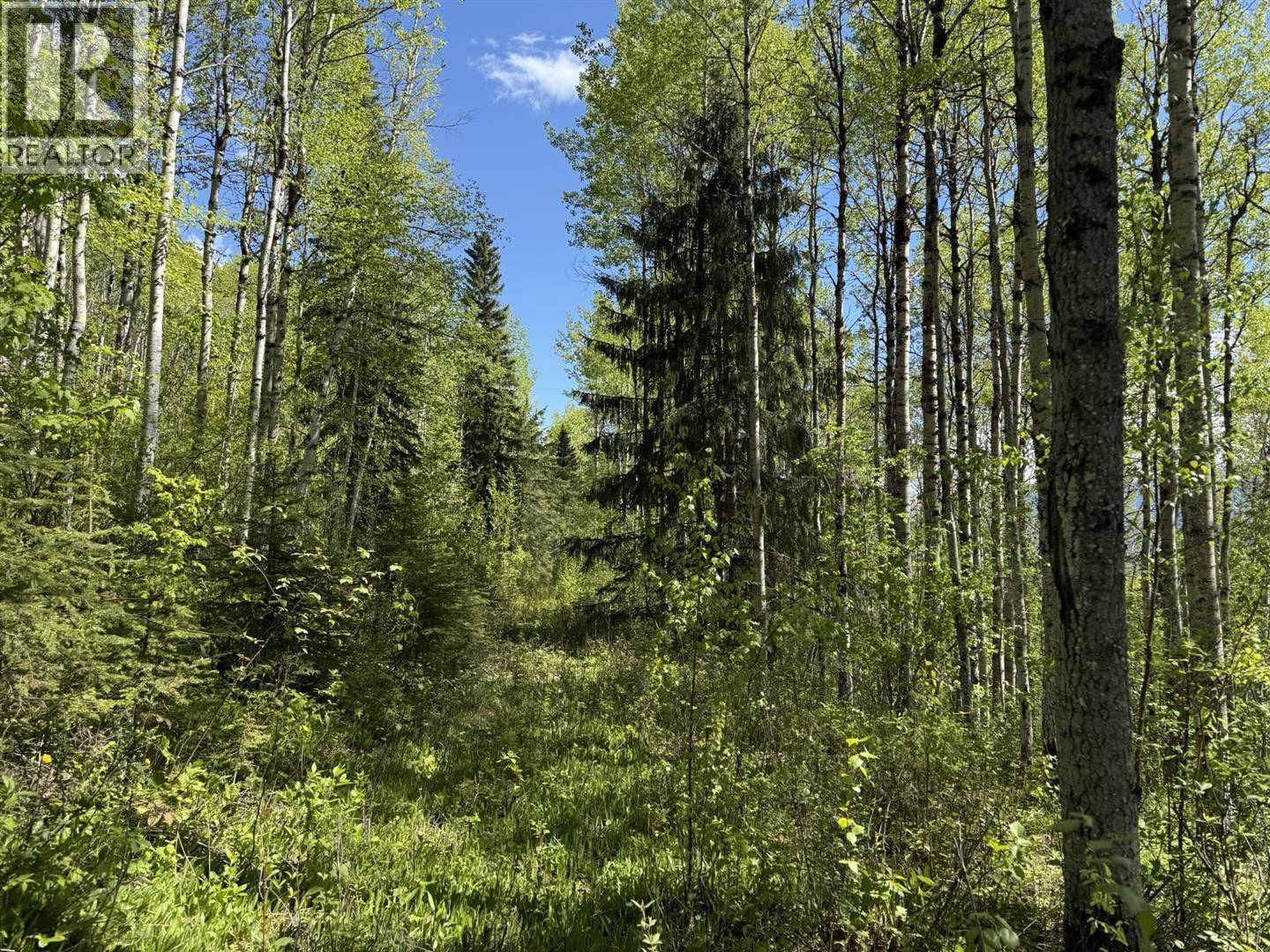LOT 1 MOUNTAIN VIEW ROAD, McBride
