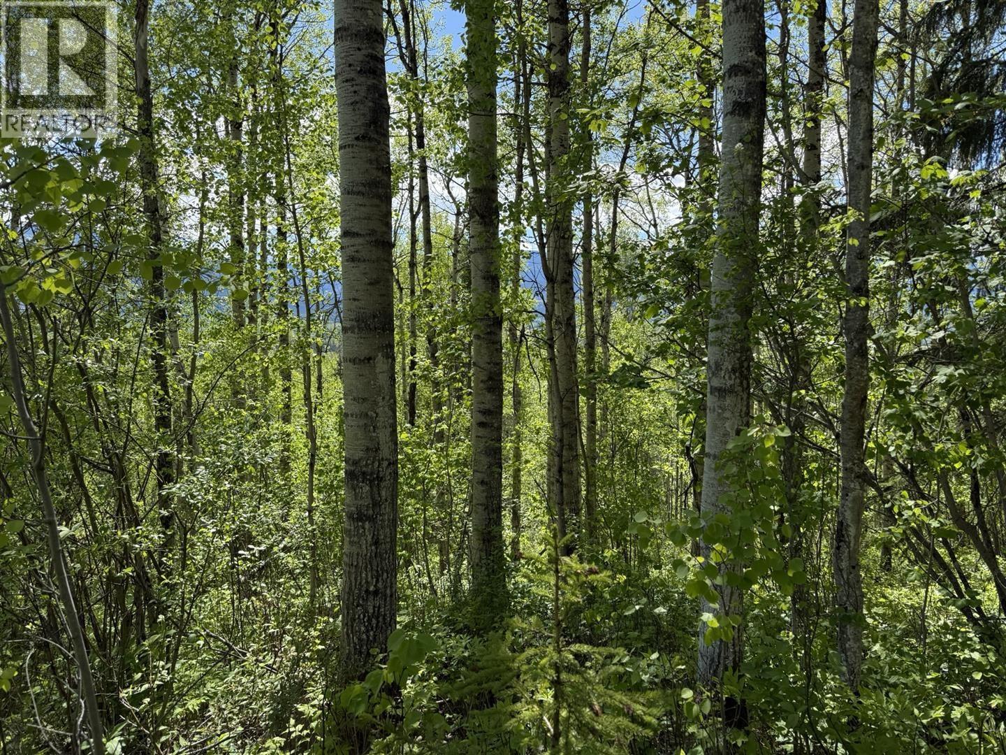 LOT 1 MOUNTAIN VIEW ROAD, McBride
