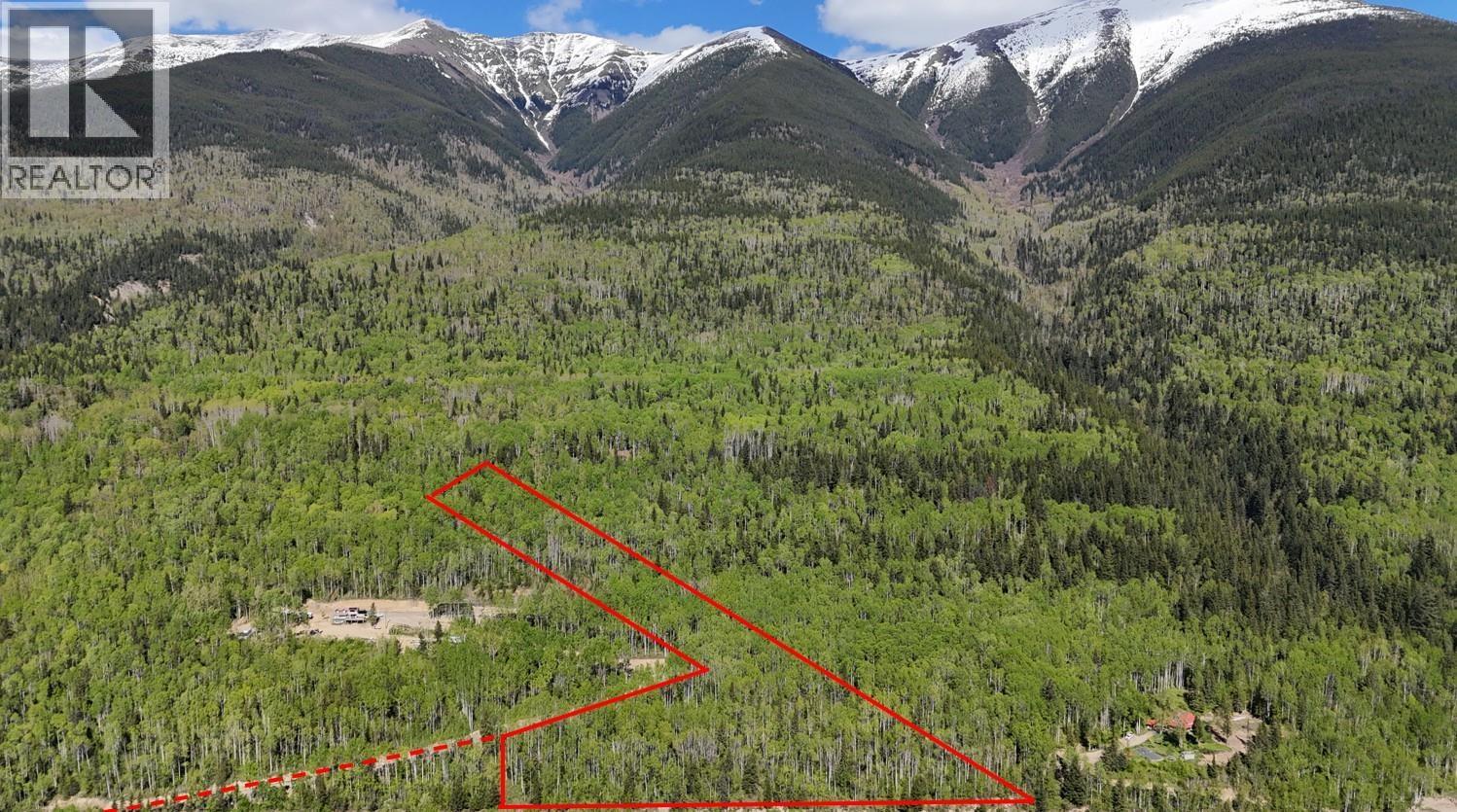 LOT 1 MOUNTAIN VIEW ROAD, McBride