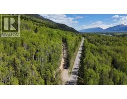 Lot 1 Mountain View Road, Mcbride, BC V0J2E0 Photo 10