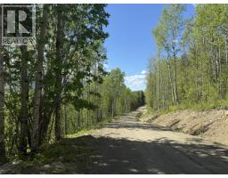Lot 1 Mountain View Road, Mcbride, BC V0J2E0 Photo 12