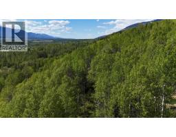 Lot 1 Mountain View Road, Mcbride, BC V0J2E0 Photo 13