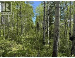 Lot 1 Mountain View Road, Mcbride, BC V0J2E0 Photo 14