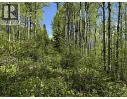 Lot 1 Mountain View Road, Mcbride, BC V0J2E0 Photo 15