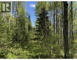 Lot 1 Mountain View Road, Mcbride, BC V0J2E0 Photo 16