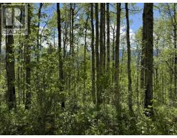 Lot 1 Mountain View Road, Mcbride, BC V0J2E0 Photo 17