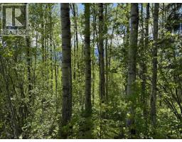 Lot 1 Mountain View Road, Mcbride, BC V0J2E0 Photo 18