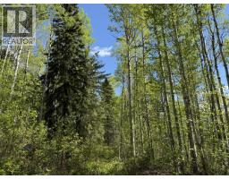 Lot 1 Mountain View Road, Mcbride, BC V0J2E0 Photo 19