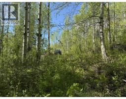 Lot 1 Mountain View Road, Mcbride, BC V0J2E0 Photo 20