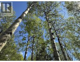 Lot 1 Mountain View Road, Mcbride, BC V0J2E0 Photo 21