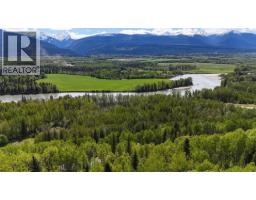 Lot 1 Mountain View Road, Mcbride, BC V0J2E0 Photo 7