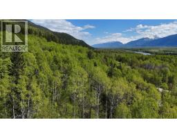 Lot 1 Mountain View Road, Mcbride, BC V0J2E0 Photo 8